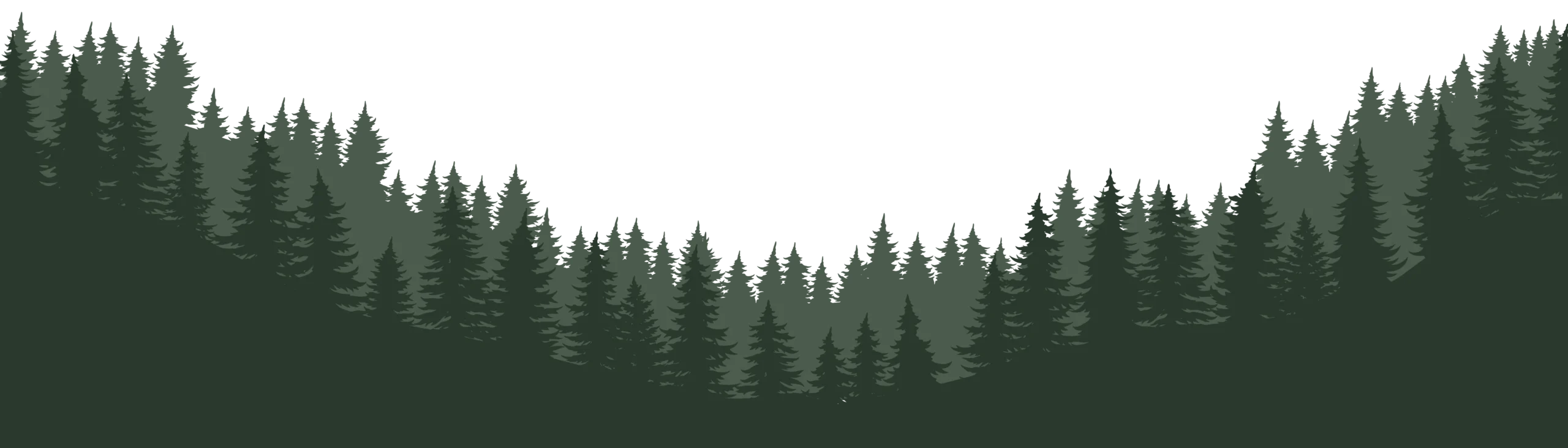 Footer grafik 03